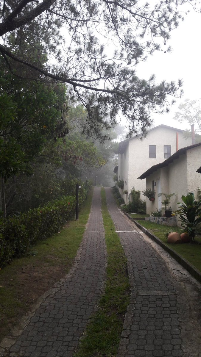 JeanSuriel's tweet photo. Informe meteorológico desde Constanza: temperatura de 16°C a las 9:00 a.m. y niebla desde la madrugada. Un panorama paradisíaco nos ha despertado hoy miércoles 21 de noviembre.
@HotelAltoCerro https://t.co/2RW0sFl54q