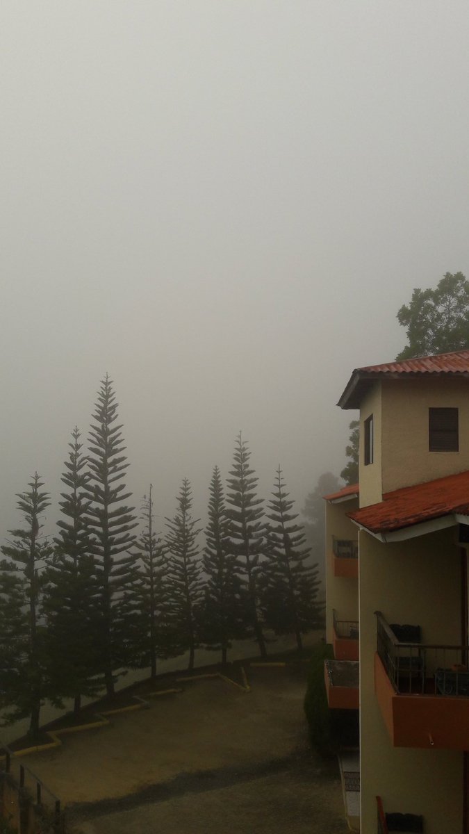 JeanSuriel's tweet photo. Informe meteorológico desde Constanza: temperatura de 16°C a las 9:00 a.m. y niebla desde la madrugada. Un panorama paradisíaco nos ha despertado hoy miércoles 21 de noviembre.
@HotelAltoCerro https://t.co/2RW0sFl54q