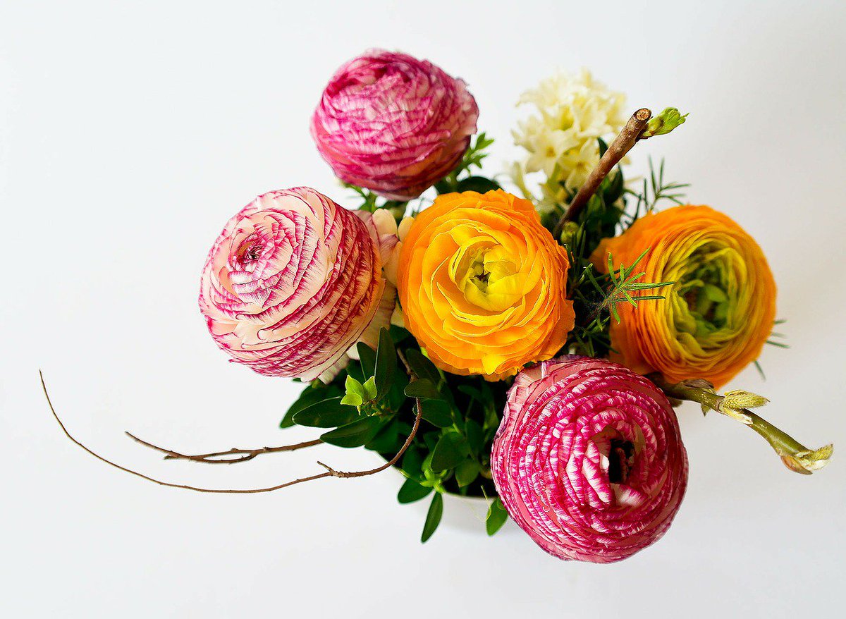 BellDelivery's tweet photo. Get Same Day Delivery In Bell Gardens.
To place your order, visit:  https://t.co/s0J67BSVkT
 #flowerdeliverybellgardens #seasonalflower #flowerbouquet #flowers   
  #LAFlowerdelivery #bellgardensflorist #surprise #stunning #samedaydelivery https://t.co/57S8Ozv8BK