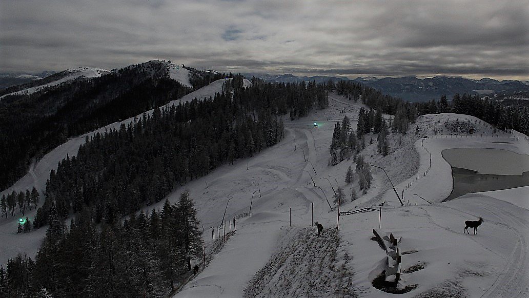 Kijk eens wie daar op de #piste lopen ;-)
#Prachtig #Herten #Badkleinkirchheim
(via: foto-webcam.eu)