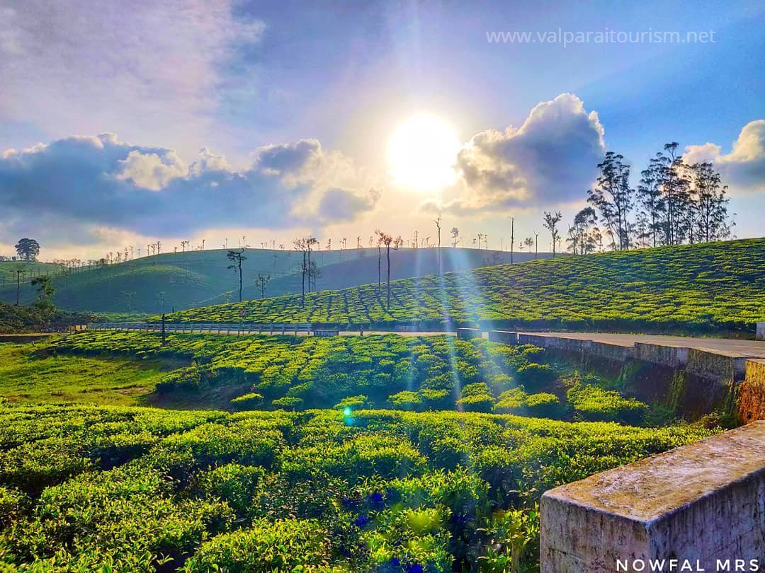 TourismValparai's tweet photo. Where do you plan to travel next? Have a look at this to help you make up your mind to Valparai.
https://t.co/55YHG5rcb9

#Share | #Retweet | #Repost let your friends know about Valparai.
#TourismValparai #WesternGhats #tamilnadu #incredibleindia #tamilnadutourism #tourismtn https://t.co/GNx7Og71pW