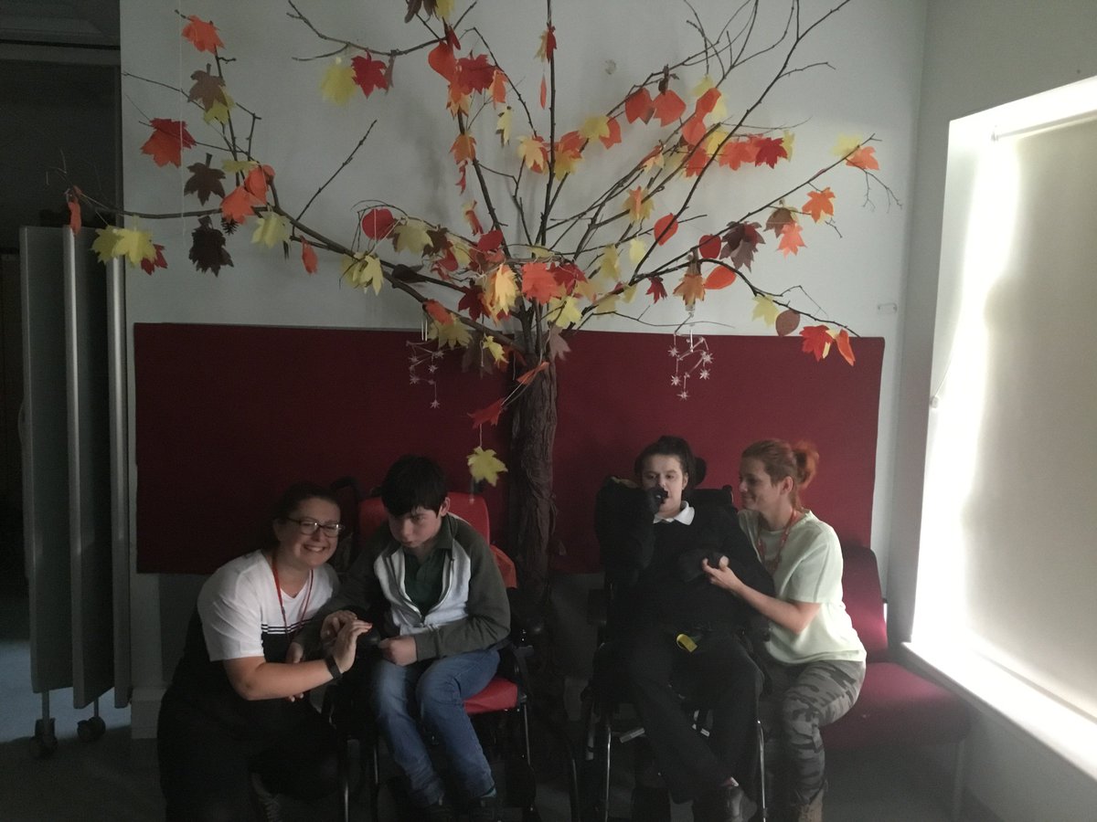 Team_Oaklands's tweet photo. Rowan class upping their game on the tree front! This one's going to change with the seasons. Over to you Aspen class... #TeamOaklands #Edinburgh #Treeoff #WednesdayMotivation https://t.co/Bo08q81Zft