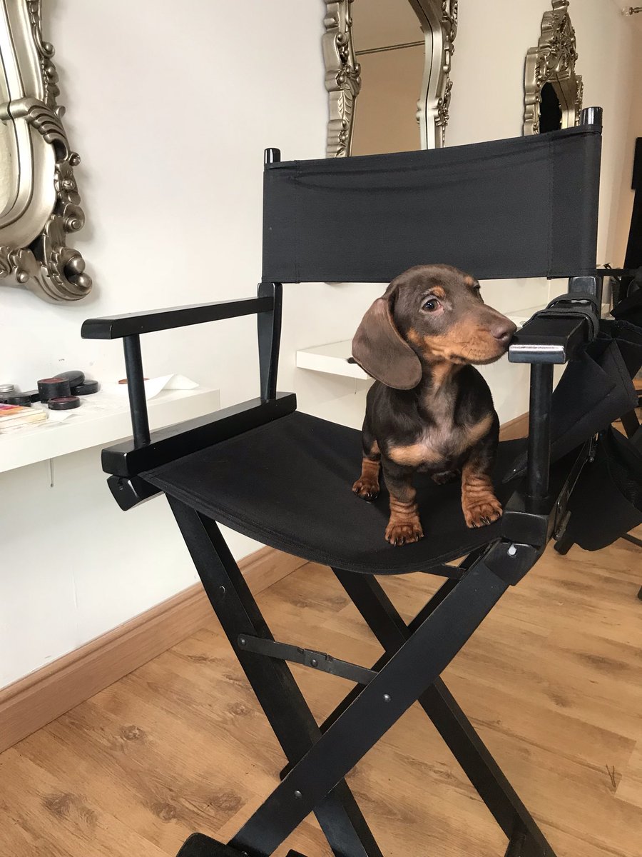 Darcie Kelly tweet media