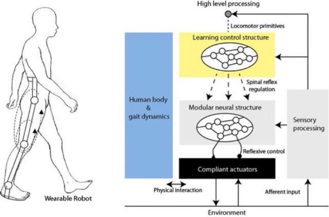 HealthcareLdr's tweet photo. 👉 #BioMot, a project to create #wearable #robots that help injured patients move better. https://t.co/cW2IlDxdHj
via @siddhartha265 @HaroldSinnott @juan_c_moreno @EU_Commission @InsightBrief #robotics #innovation #EmergingTech #AI #HealthTech #IoT #WearableTech https://t.co/we6xKvVdMt