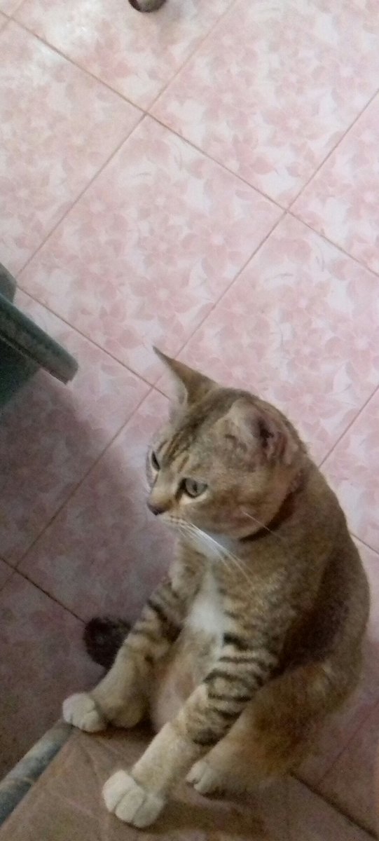 g0ddesh's tweet photo. @bintik_ #timpantau yg bersih tik! https://t.co/fb1t9UuDnL
