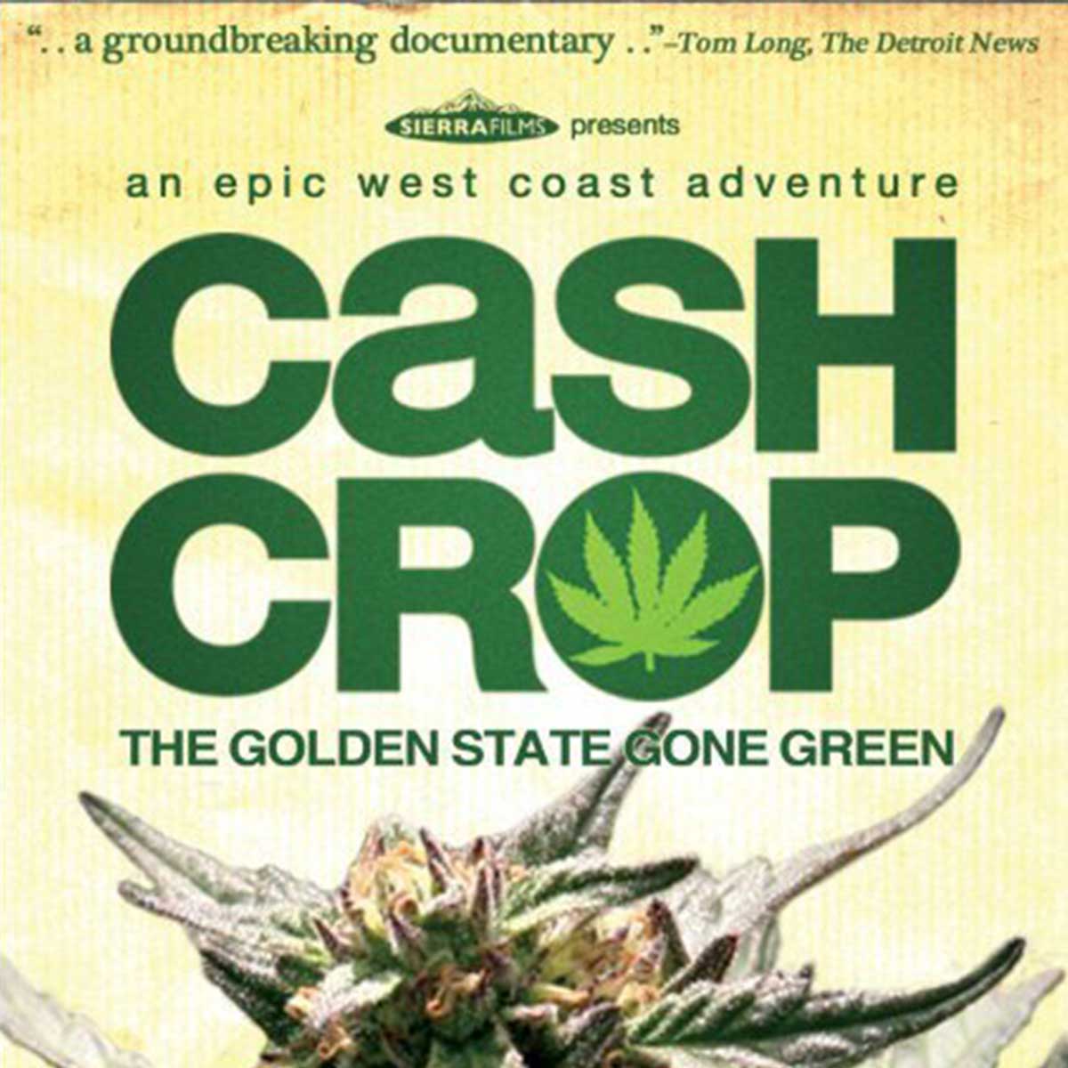 High95Cup's tweet photo. After the awards ceremony we will be showing "Cash Crop" directed by Adam Ross.  Adam has lost his home to the recent Woolsey fire in CA.  Pick up a DVD of CASH CROP as a stocking stuffer during the High 95 Cup, November 24th, Franco Center, Lewiston.  

https://t.co/A75KblsMnH https://t.co/8ElHrYvJ5G
