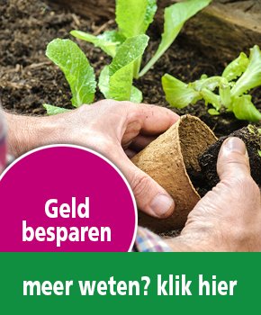 Geld besparen met je tuin... Hoe? Dat lees je nu in onze 5 tips! - mailchi.mp/tnoord/geld-be…