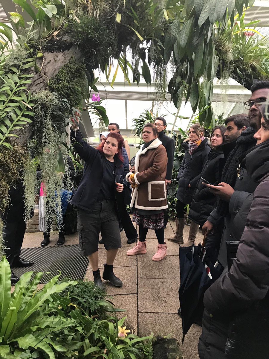 Intleaders's tweet photo. Terrible weather couldn’t stop the spirits at @kewgardens beautiful garden, once in a lifetime experience, highly recommend #IntLeaders https://t.co/5OwoFxihJl