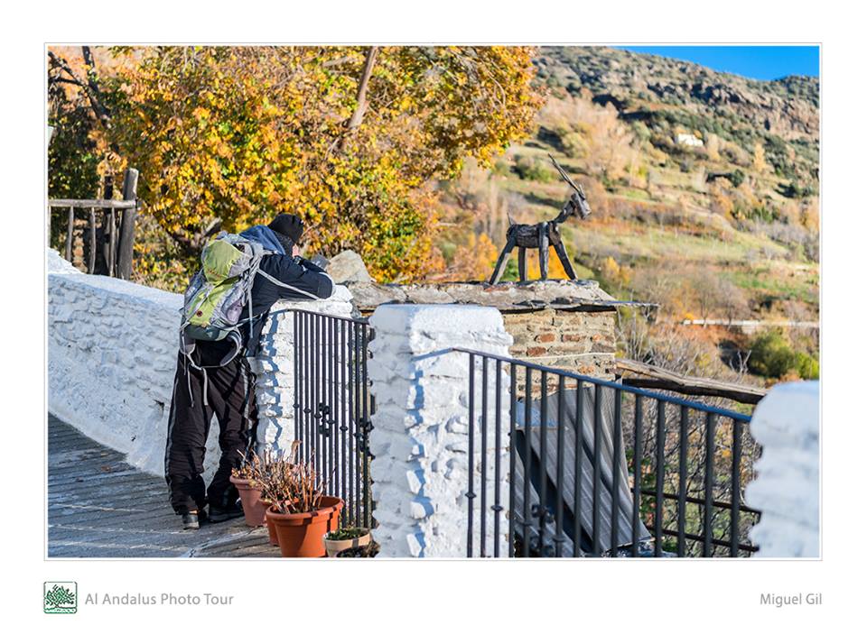 AlAndalusPhoto's tweet photo. En @AlAndalusPhoto no paramos con los #cursos 📸 #digital del programa @dipgra 💪

¡Los #pueblos de #Granada también quieren #fotografía!  #welovegranada #FelizMiercoles https://t.co/BWXnW5gKB0