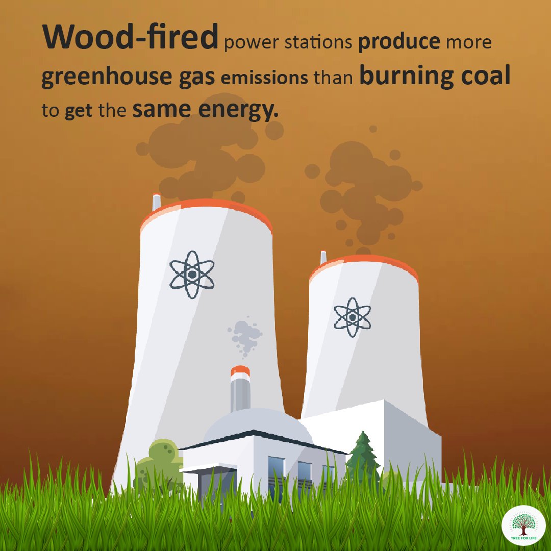 Let's start treading towards greener energy. Download the Tree for Life app to meet environmental enthusiasts. bit.ly/2OINmrh

#SaveTrees #MakeWorldGreener