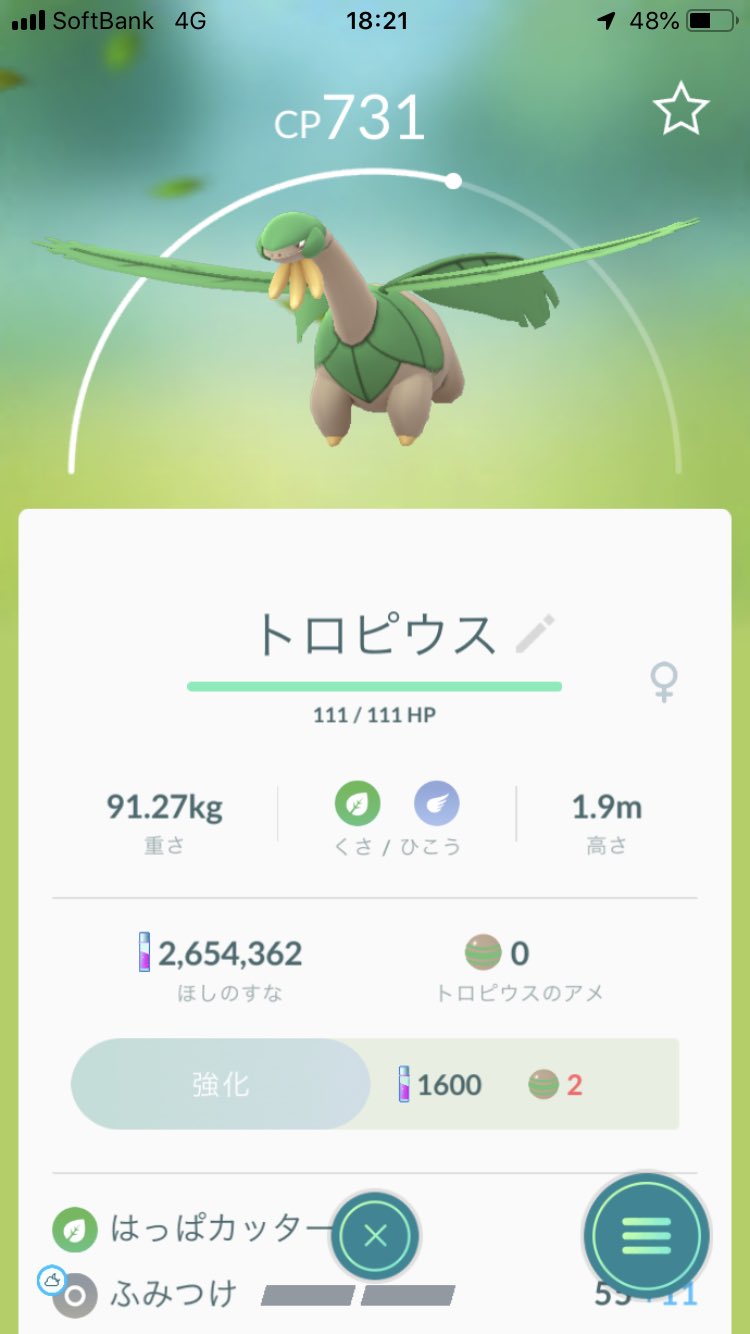 トロピウス交換 Twitter Search Twitter