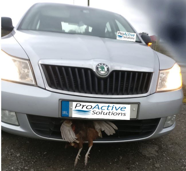 ArdeeInsurance's tweet image. proactivesolutions.ie/competitions/4…