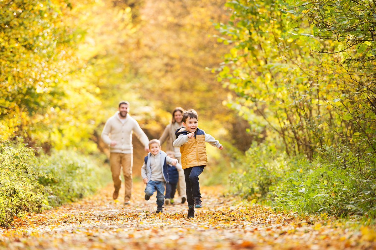 Go for a walk in the park this weekend with friends and family,  get some fresh air and enjoy being surrounded by trees! 🌳🌲🍃 #Walking will increase your cardiovascular fitness, strengthen your bones and help reduce excess body fat.  #nationaltreeweek <a href="/healthywalks/">Ramblers Walking for Health</a> <a href="/trekessex/">Trek Essex</a>
