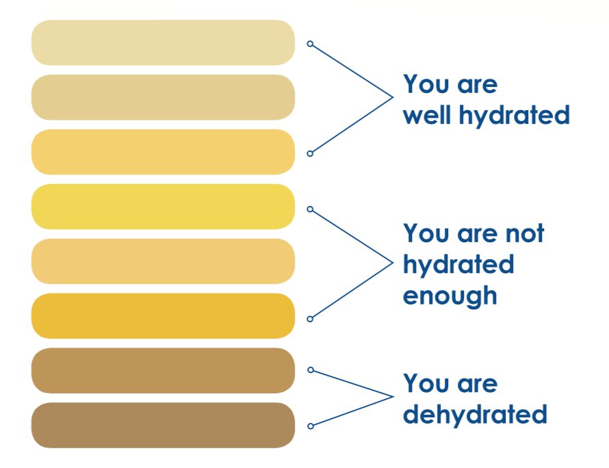 Color Of Urine When Dehydration Chart