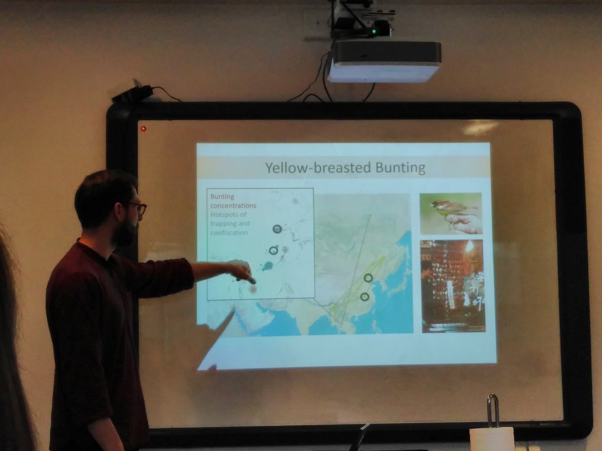 Migrant Landbirds tweet media