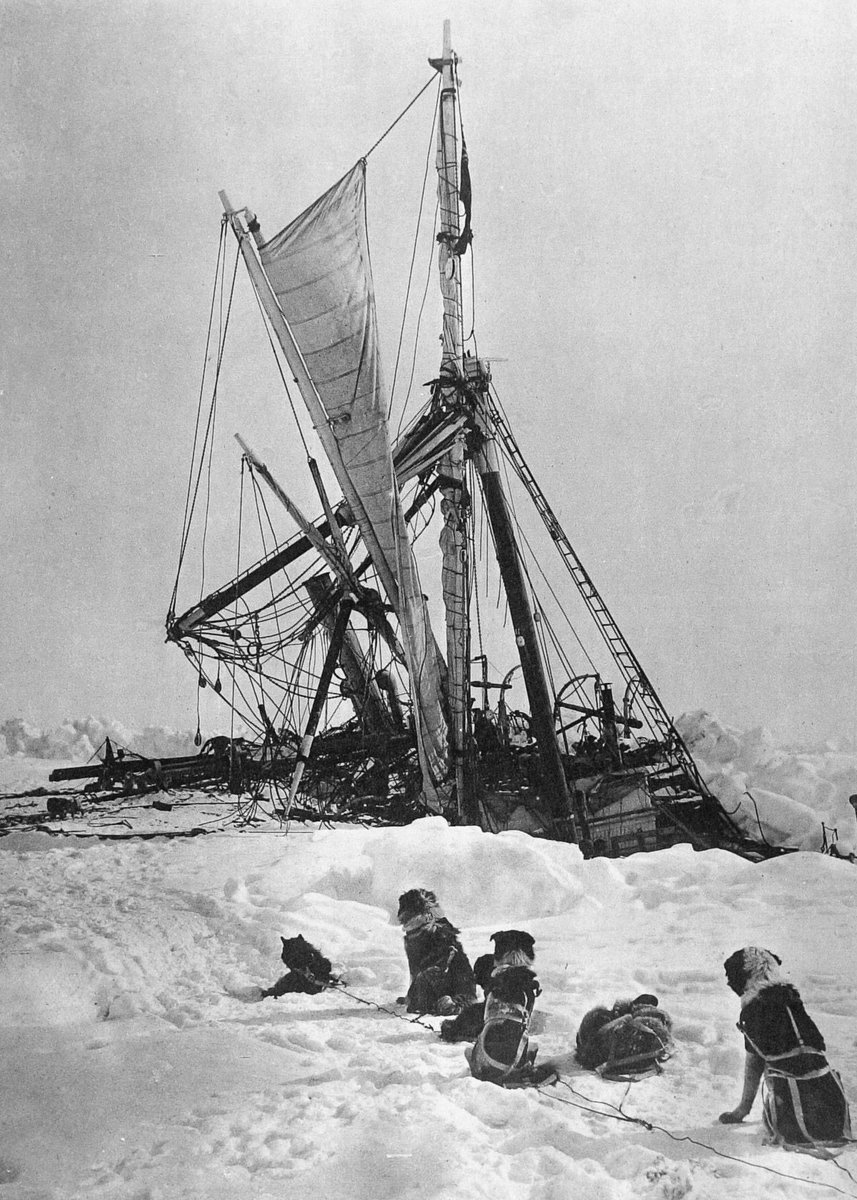 AntarcticReport's tweet photo. "She's going down!" Shackleton shouted #OnThisDay #OTD in 1915 Endurance finally sank beneath the sea ice of the Weddell Sea, all survived. Built in Norway in 1912, the ship was sold to Shackleton in 1914. "Fortitudine vincimus" (By endurance we conquer) - Shackleton family motto https://t.co/BzRDjdrq49