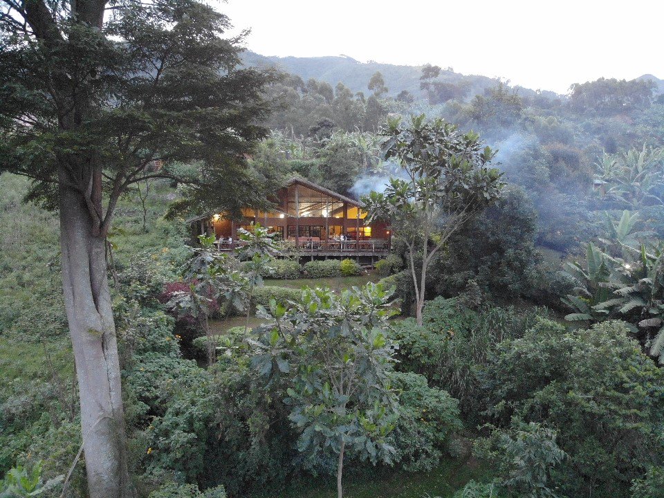 MahoganySprings's tweet image. 'A view from the sky' thanks so much to one of our lovely guests who took these incredible pictures of Mahogany Springs using their drone! We absolutely love them! #birdseyeview