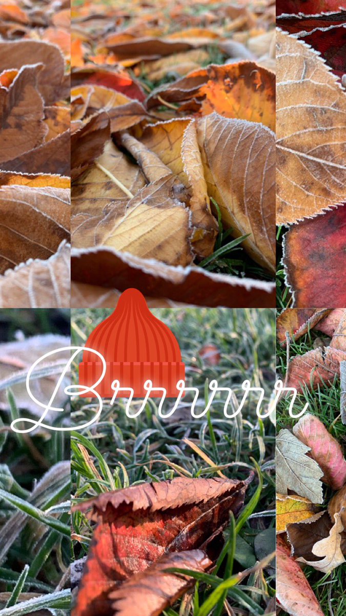 Koud#brr#zonnetjeschijnt#fijnedag