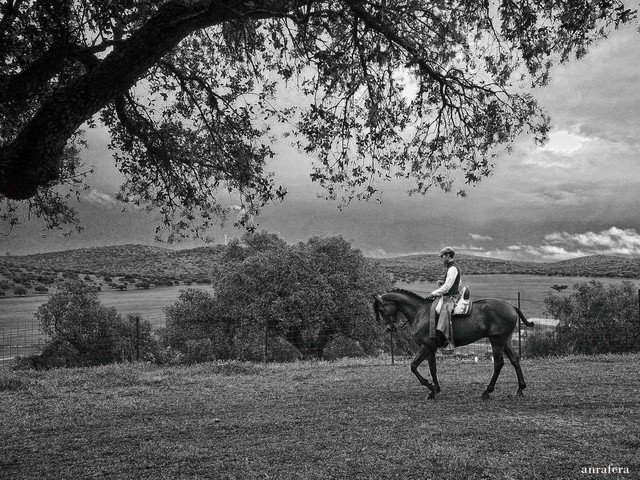 anrafera's tweet photo. Postal ecuestre
.
.
#bnwphotography #photometre #photographclub #bnw #photographeroftheday #bnw_fabulous #visionofpictures #pics_infinty #photoobserve #edit_grams #ps_starry #amazing #bestoftheday #photo https://t.co/hOBYadSOcH