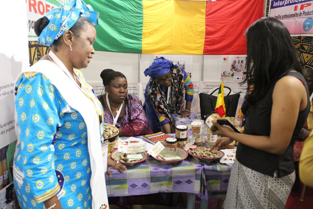 PAFAM3's tweet photo. Du 8 au 10 novembre, le PAFAM a participé à la 3ème édition du @Sietta18 couplée à la 12ème #Conférence de @AfricanCashew à #Abidjan sur le thème: "Transformation de l'anacarde, une mine d'opportunités pour l'autonomisation de la jeunesse africaine" @UEauMali @AECID_es https://t.co/8oRAQYjFbt
