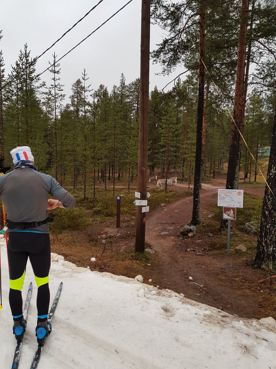 Nous quittons aujourd'hui Rovaniemi 🎅🦌 pour rejoindre <a href="/RukaNordic/">Ruka Nordic</a> et la première étape de la coupe du monde. Bon petit stage malgré le manque de neige. <a href="/ffskidefond/">French CCskiing Team</a> <a href="/salomonnordic/">salomonnordic</a> <a href="/douane_france/">Direction générale des douanes et droits indirects</a> <a href="/blizeyewear/">Bliz Eyewear</a> <a href="/SwixXC/">Swix XC Racing</a>