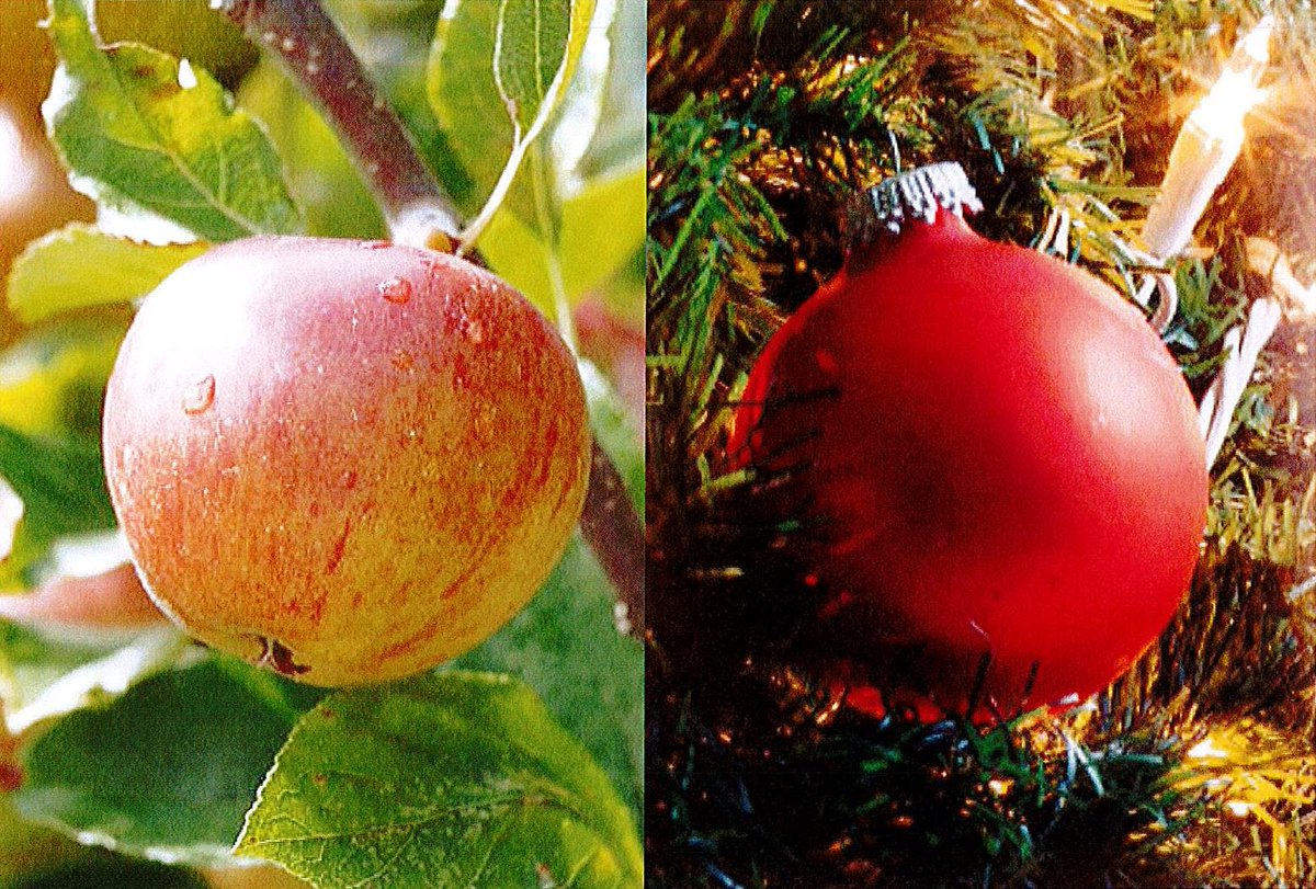 DON'T MISS OUT!  Limited to 20 places!  Wed 12th Dec 4pm
Somerset Club Christmas Social - Thatchers Cider Tour &amp; Tasting
eventbrite.co.uk/e/ce-somerset-…