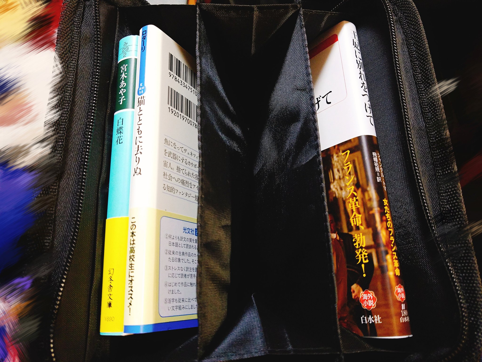 七夕 本を何冊持ち運んでも折れる心配のない 丸善のポーチ 高校生時代から愛用している 鞄に放り込んでも折れたり汚れたりすることのない ジッパー付きブックカバー 私の鞄の中 危険地帯 から本は完璧に護られている 丸善 ジュンク堂 読書好きな