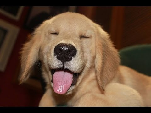 StopSnoringAus's tweet photo. React on this using emojis‍! 👇🙆‍😜 #emojis https://t.co/sx6L8Fqcwq