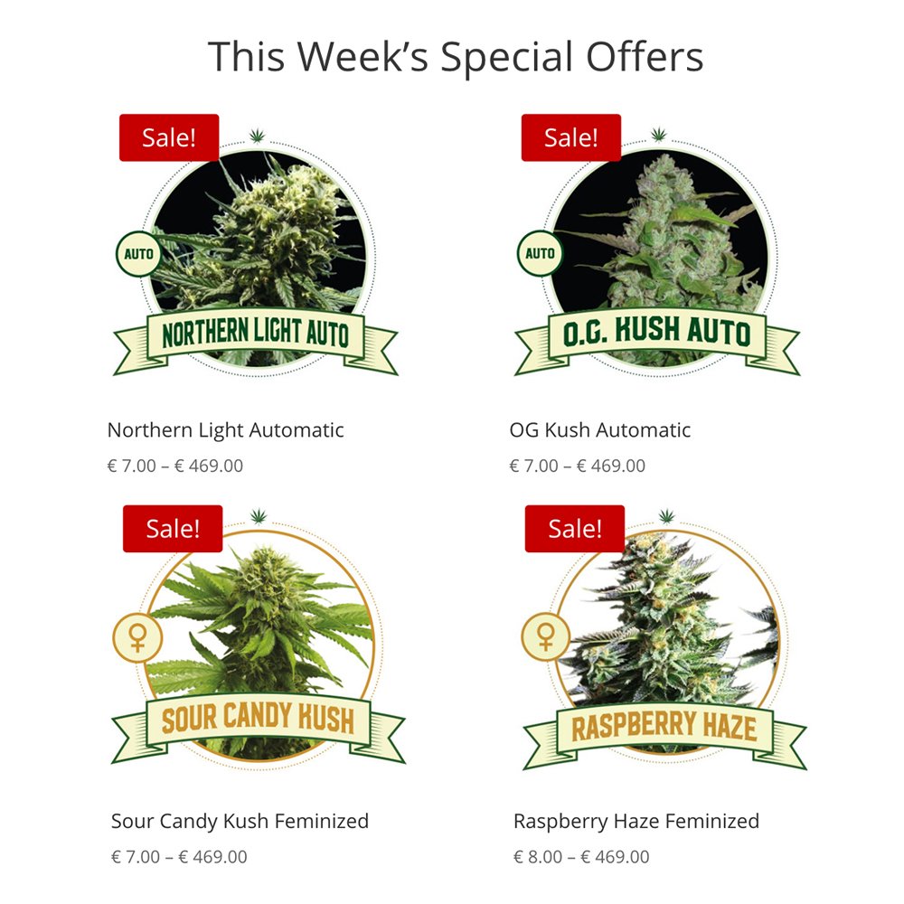 CITYSEEDSBANK's tweet photo. This week's special offers available at https://t.co/tCfjgjupsr https://t.co/6DEyBSodHp