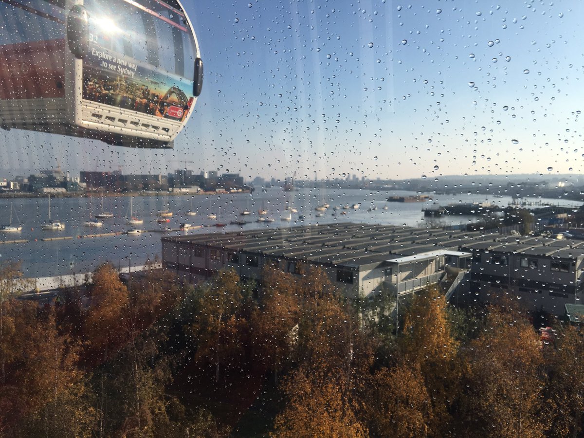 Fiona Esom tweet media