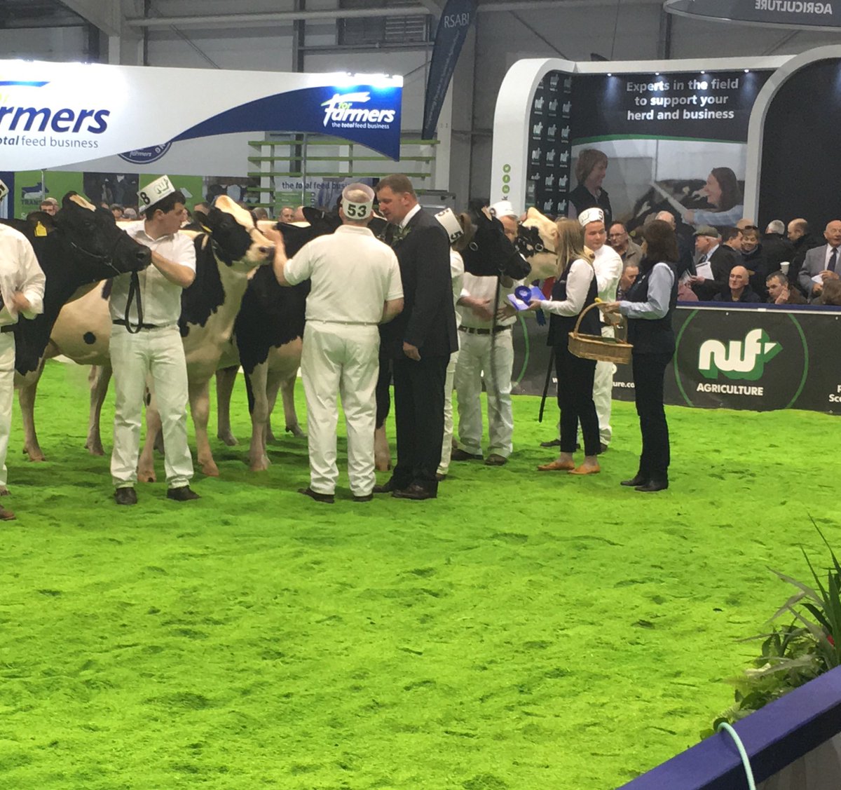 Premier Nutrition’s Hannah Lilburn presenting prizes for the Holstein Senior Heifer class <a href="/AgriScot/">AgriScot</a> Riverdane Holsteins won the class with Riverdane Brady Sharon and Richaven Atwood Squaw coming in second #agriscot #teamdairy