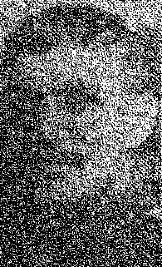 Sharing Pte O'Brien tweet media