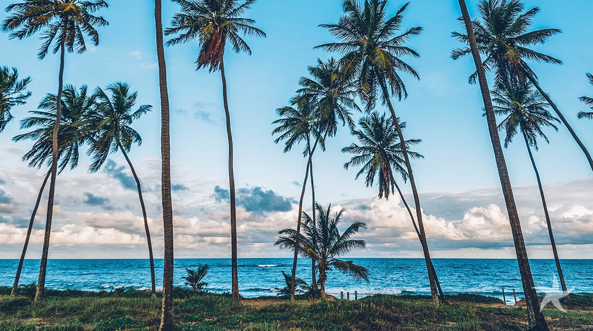 IberostarPT's tweet photo. Nos despedindo dessa tarde linda em grande estilo. #IberostarPraiadoForte https://t.co/JuafpuLLXo