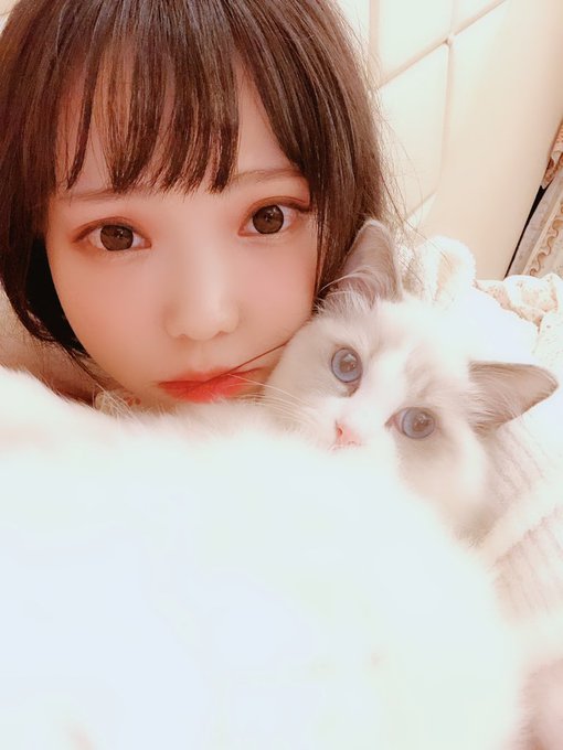コスプレイヤー咬人猫YaorenmaoのTwitter画像13