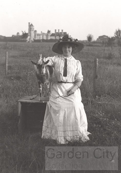 GC_Collection's tweet photo. We have a variety of fur & feathered friends in our archive! This is Miss Vine, Headmistress at Norton Road School…with her pet goat! The goat often accompanied her to school & apparently “it used to sit around the stove” #ArchiveAnimals @explorearchives https://t.co/8kBSVbDVp2