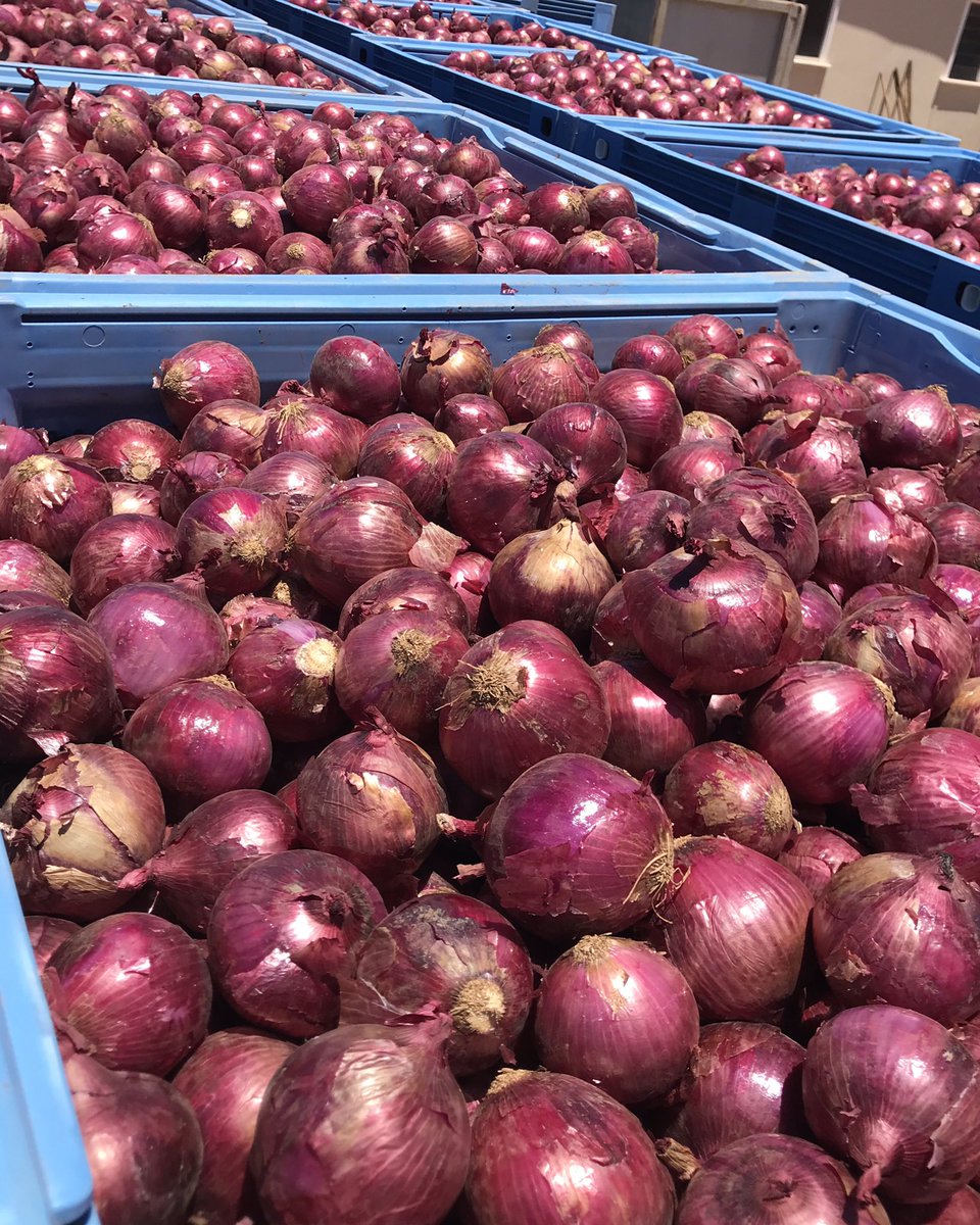 Hunt2Hunt's tweet photo. #AgDayAU provides an opportunity for us to stop &amp; reflect on the contribution all our farmers make to the Australian economy and say thank you for the produce they provide us everyday. While I can’t grow a thing it’s a privilege to be part of this industry ! #anzwanorth @ANZ_AU https://t.co/KfCzCo2x2m