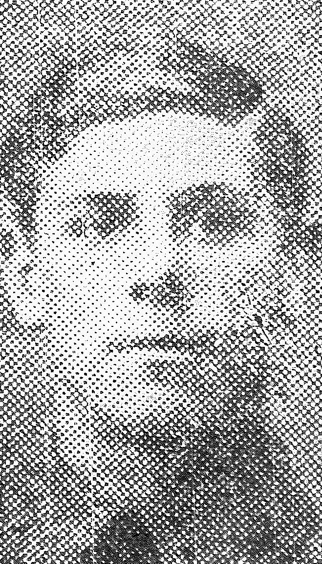 Sharing Pte O'Brien tweet media