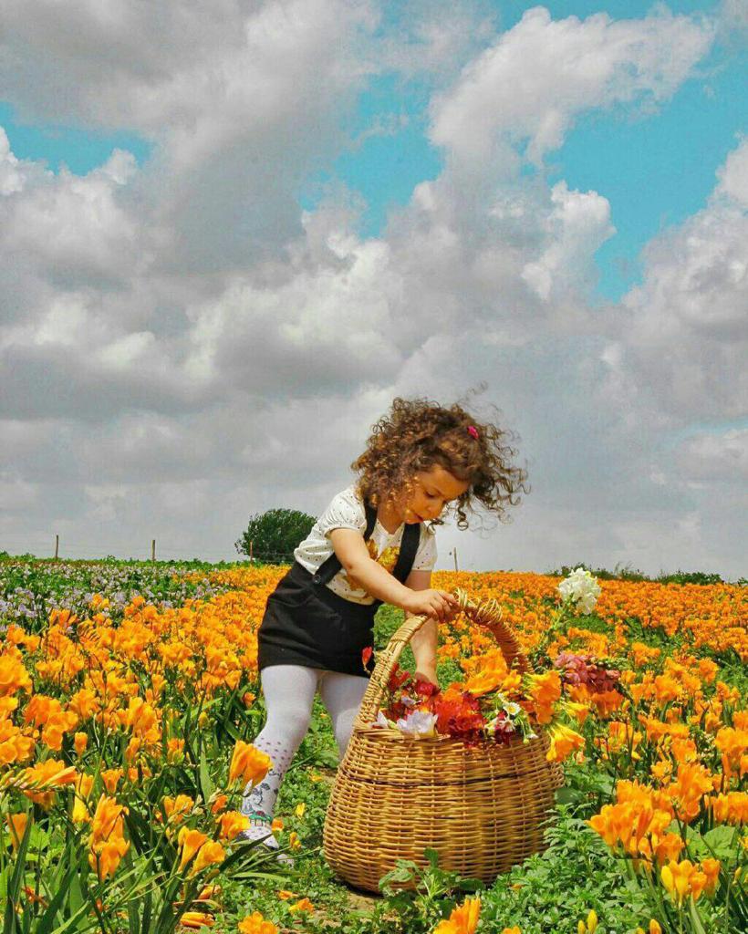 🌹🍂 عشت كثيرا"حتى أدركت أن اﻻستمرارفي العتب تعب والتجاهل صدقة جارية على فقراء اﻷدب وأيقنت أن المواقف خريف العلاقات يتساقط منها المزيفون كأوراق الشجر💭💌