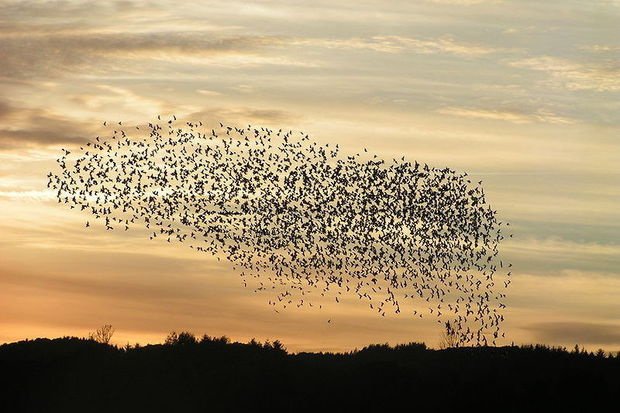 MechTech4's tweet image. #FreeHumans #Swarm