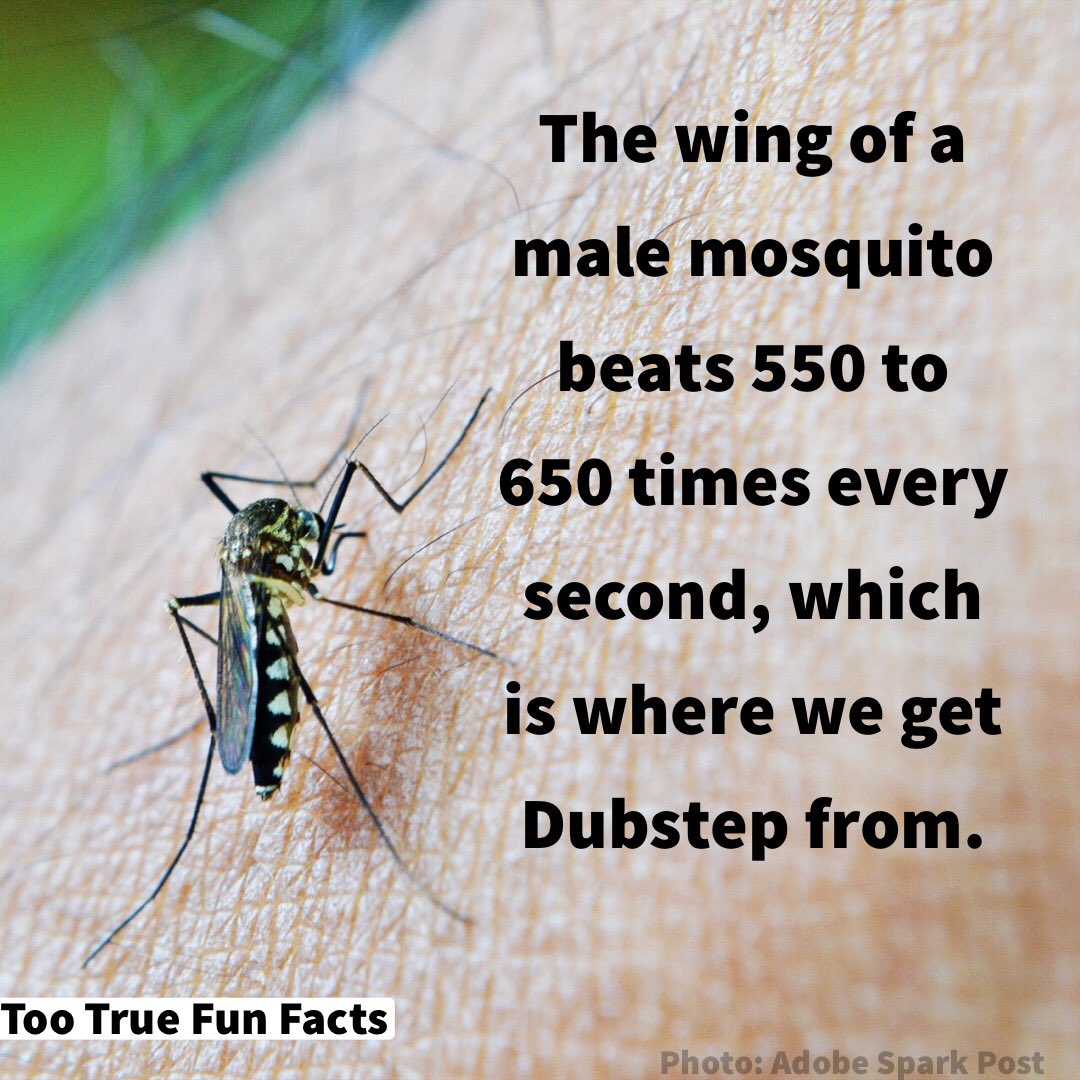 Too True Fun Facts on Twitter: 