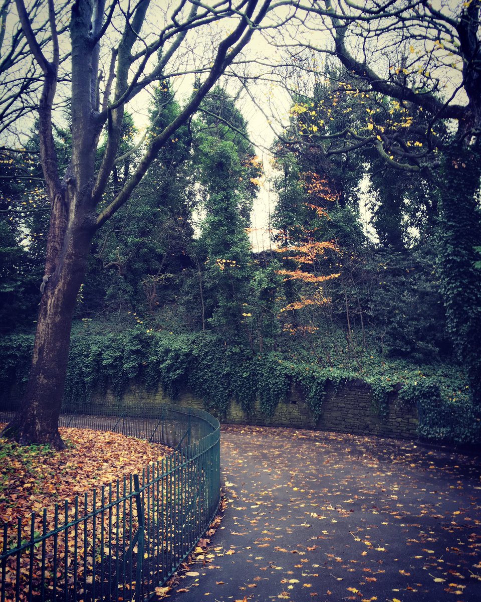 EmmaTollefsen's tweet image. Walking down memory lane in Sheffield 🖤 @HansiTollefsen #myoldhome #Sheffield #travelling #familytime #phdlife