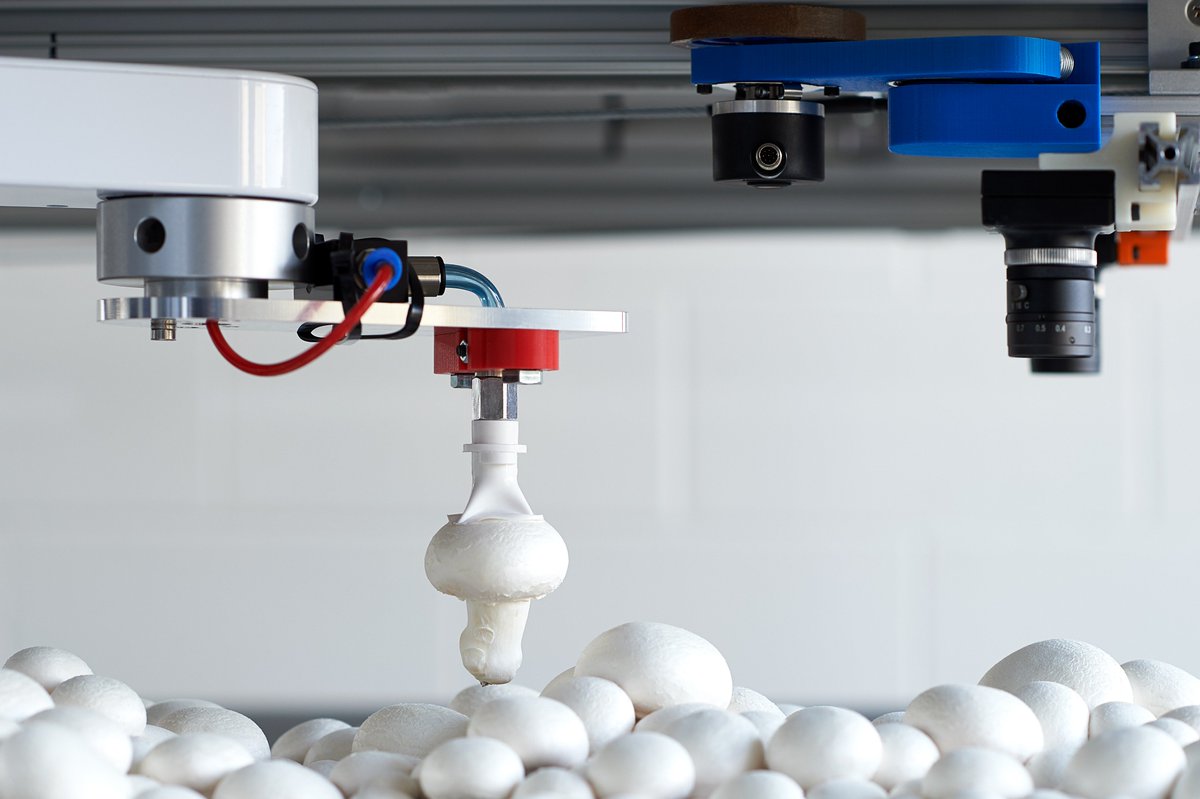 Two great #job opportunities available with Vineland's #Robotics &amp; #Automation team. Interested in #applying? Check out the postings online vinelandresearch.com/careers #ontag