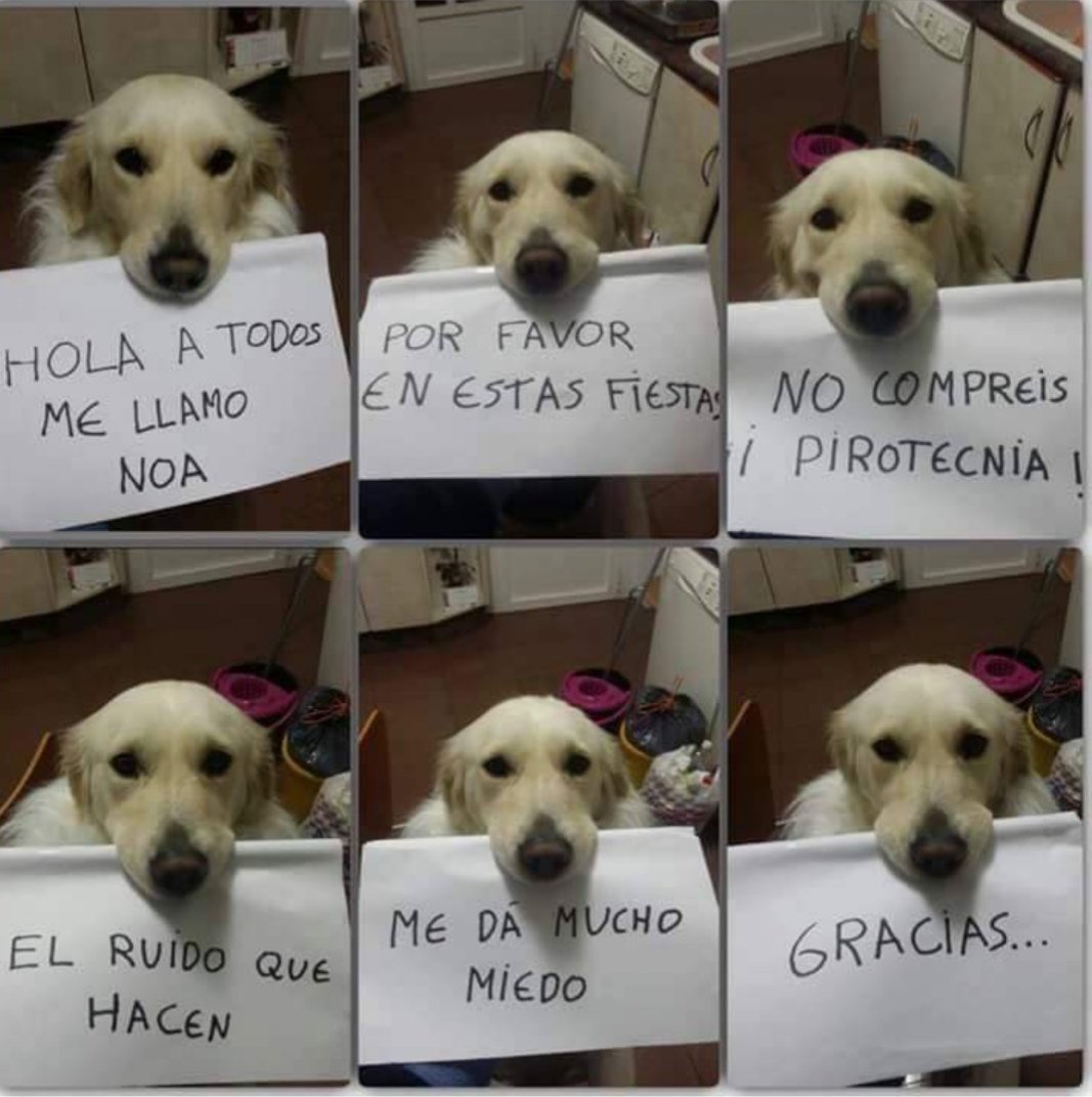 mjsolanofranco's tweet photo. https://t.co/JNM7gWkflb