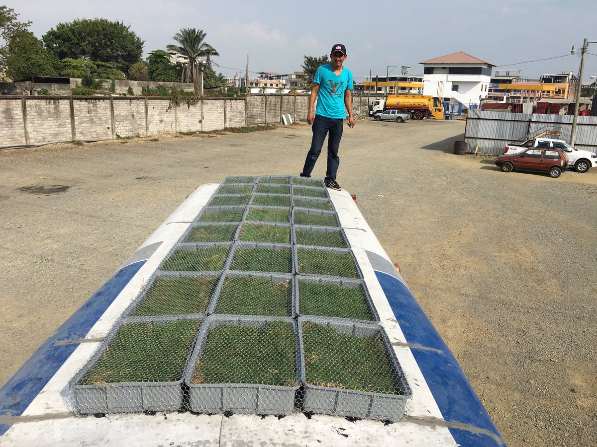 biogaiaorg's tweet photo. Instalamos en un bus de los Daulis, en Daule provincia del Guayas , el primer jardín sostenible con el fin de beneficiar a los usuarios, iniciativa con la que se apoya ambientalmente a la Unión de Cooperativas de Transporte de pasajeros del Guayas https://t.co/iqEjHteuG6