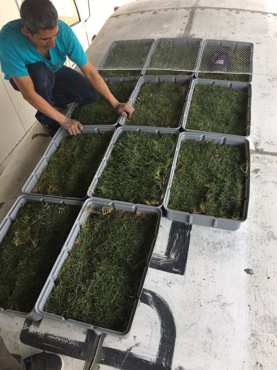 biogaiaorg's tweet photo. Instalamos en un bus de los Daulis, en Daule provincia del Guayas , el primer jardín sostenible con el fin de beneficiar a los usuarios, iniciativa con la que se apoya ambientalmente a la Unión de Cooperativas de Transporte de pasajeros del Guayas https://t.co/iqEjHteuG6