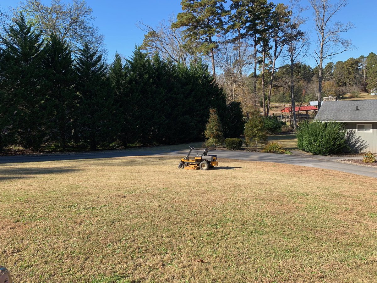 Dr_Bubba's tweet photo. Today I’m thankful for my Cub Cadet zero turn mower #whatleaves https://t.co/Aw6C2d0bav