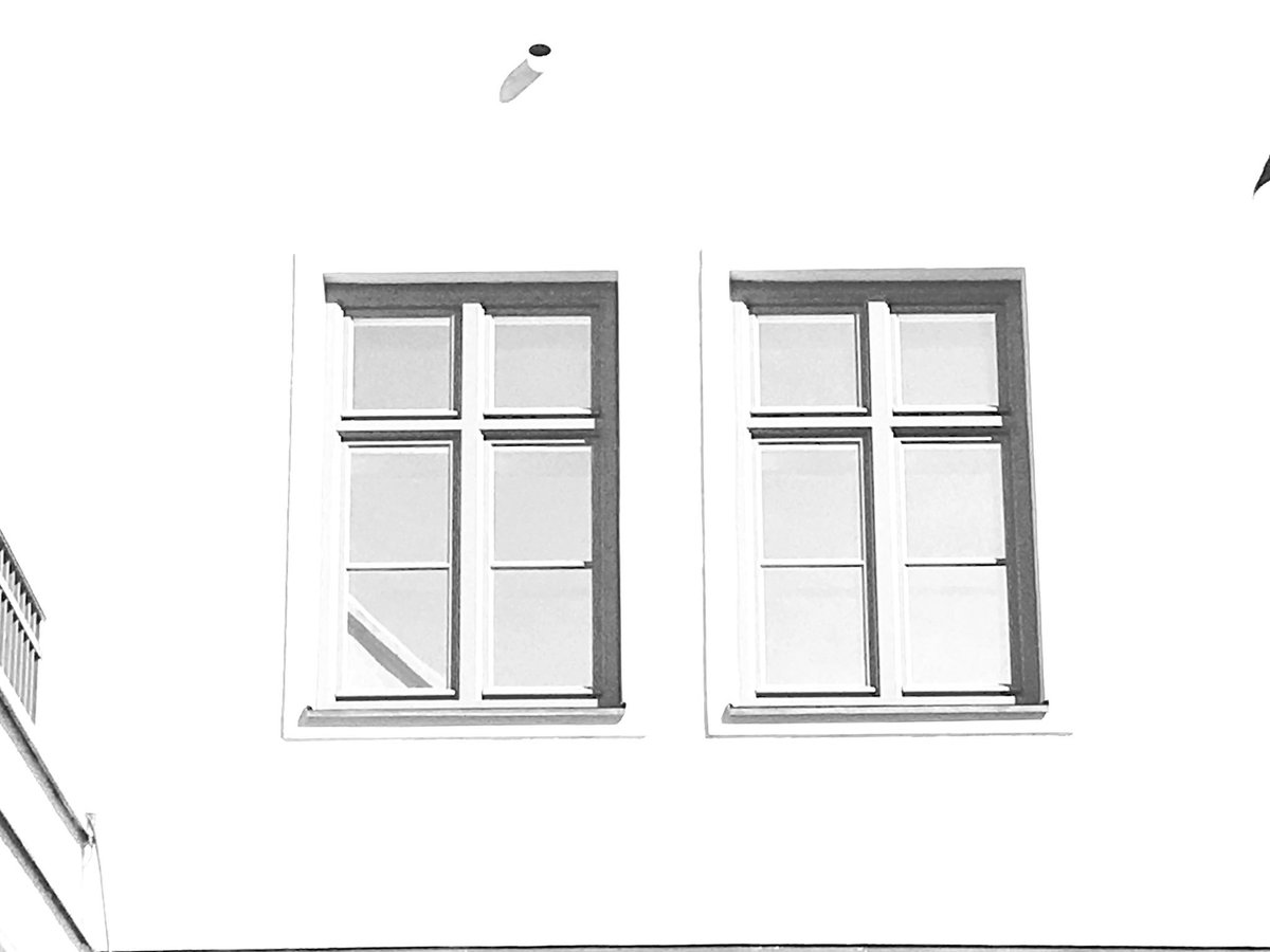 UweSteiner's tweet image. Day 6/7 #bwchallenge #no people #no text