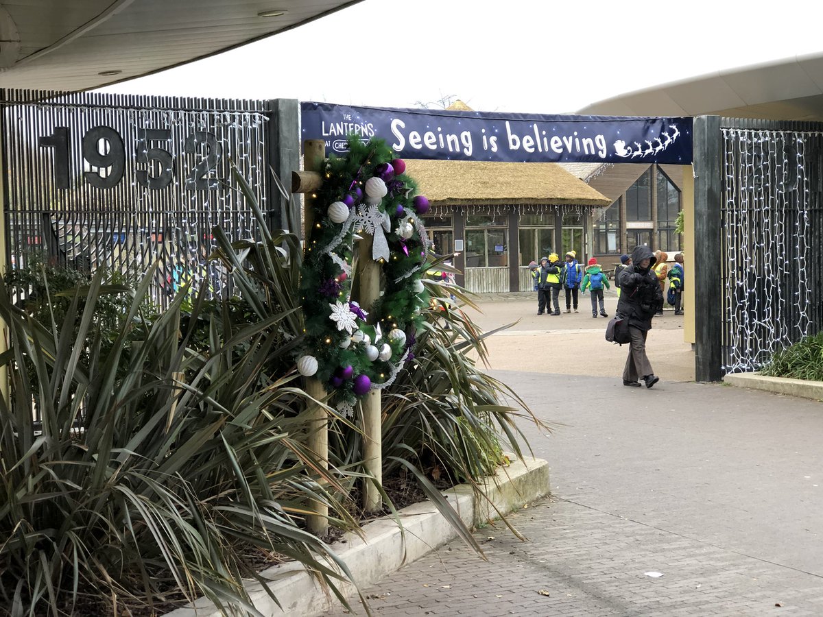 eventures1's tweet image. Christmas has arrived early @chesterzoo it’s been in the planning for months, its taken over a week to install but we’ve enjoyed every minute of setting the scene for Christmas at the zoo. Here’s a snippet 🎄❄️🦒🐧🦁🐘#ChristmasIsComing