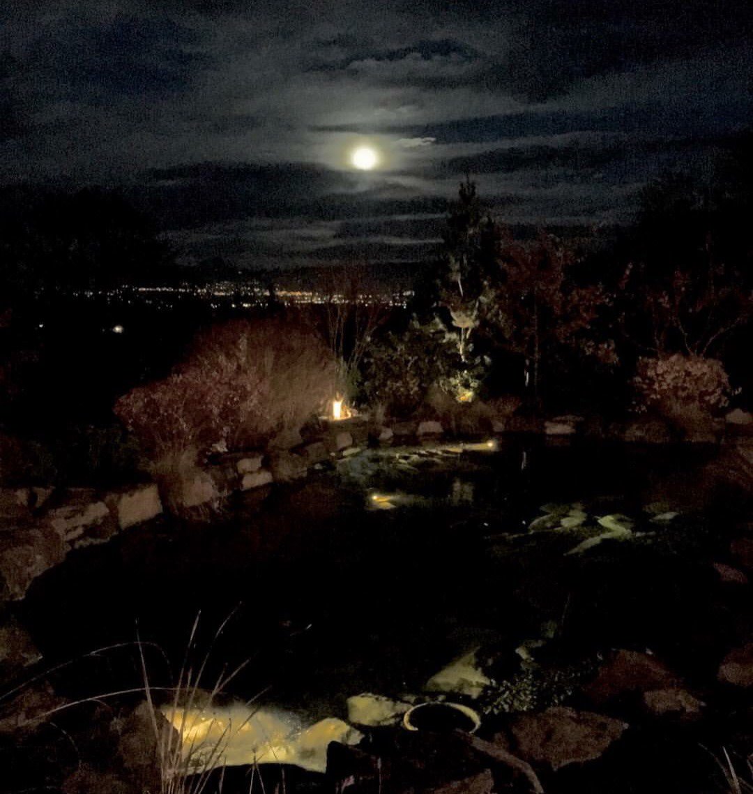 DancinVineyards's tweet photo. DANCIN in the moonlight! #dancinvineyards #moonlight https://t.co/SNP8GEmlSI