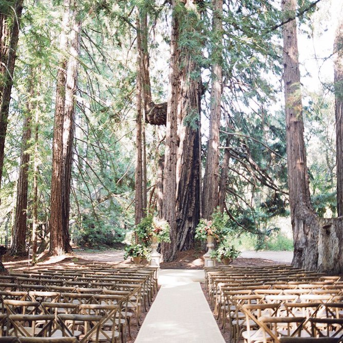bluerobinevents's tweet photo. Si tuviéramos una bola mágica que nos diera información meteorológica, siempre apostaríamos por una boda al aire libre. Y si es en otoño, nos vamos al bosque…
.
.
.
#bluerobinevents #bodaspersonalizadas #weddingplaner #organizacióndeeventos #bodasmadrid #eventos2018 https://t.co/nW9iUGx2oG